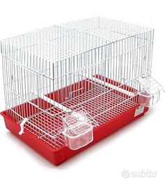 gabbie per canarini, pappagalli