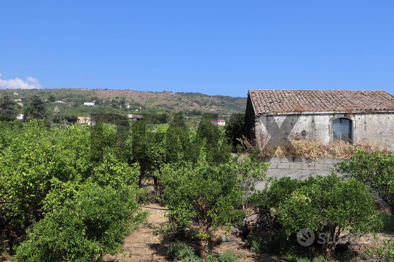 Terreno Edificabile - Mascali - Vista 4