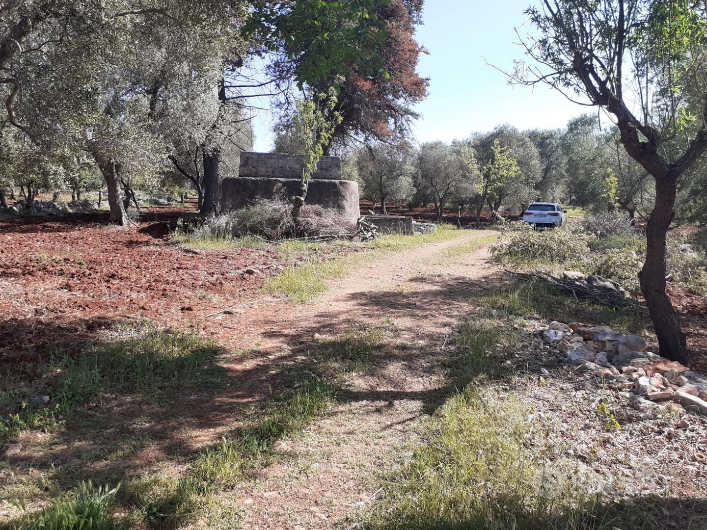 Terreno ostuni carovigno edificabile 9000mq - Vista 2