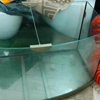 Acquario in vetro senza coperchio pesci tartarughe