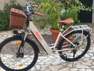 Bici elettrica