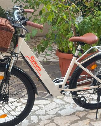 Bici elettrica