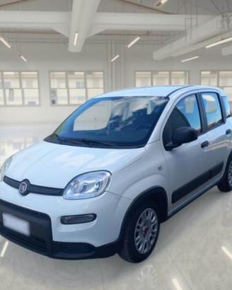 FIAT Panda 1.0 HYBRID 70 CV N1 4 POSTI AUTOCARRO