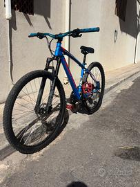 Bici 29