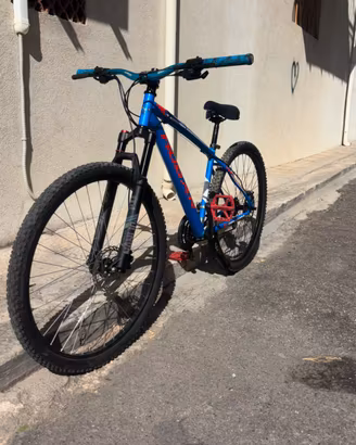 Bici 29
