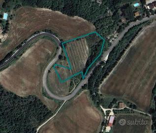 Immobile in asta di 10430 m² a San Venanzo