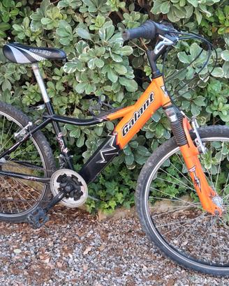 Bicicletta per ragazza/ragazzo