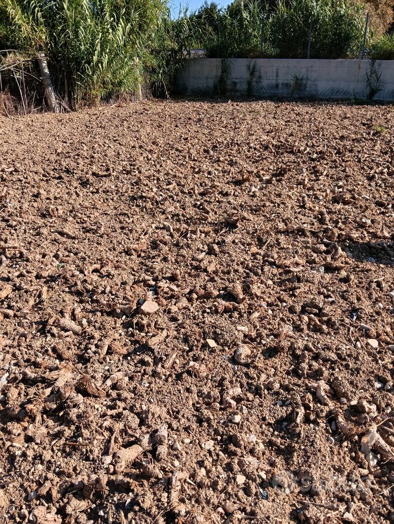 Terreno 750 mq - Vista 3