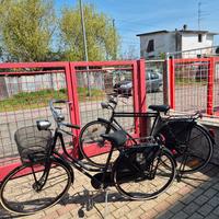 Bicicletta Holland Bike