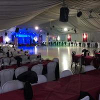 COPRISEDIA PER CERIMONIA ELASTICIZZATI