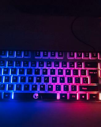Tastiera da Gaming Raiku RGB