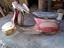 Immagine 3
