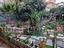 Immagine 28