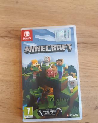 Minecraft Nintendo switch 