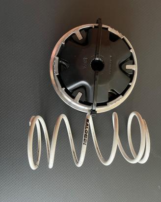 Variatore malossi multivar 2000