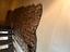 Immagine 25