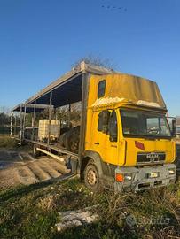 0610 AUTOTRENO BIGA MAN 2000