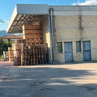 Capannone con celle frigorifere con spazio esterno