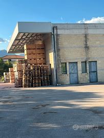 Capannone con celle frigorifere con spazio esterno