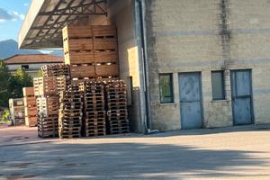 Capannone con celle frigorifere con spazio esterno