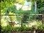 Immagine 20