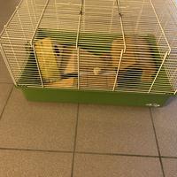 Gabbia per criceti
