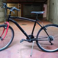 Bicicletta unisex