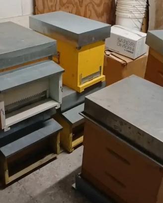  ARNIA PER APICOLTURA