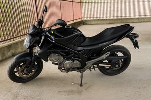 Suzuki Gladius 650