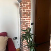 Piantana