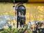 Immagine 23