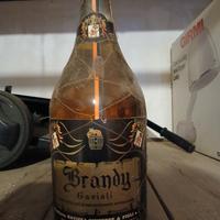 BRANDY GAVIOLI