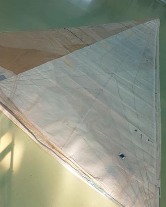 Vela Genoa Speed Sail