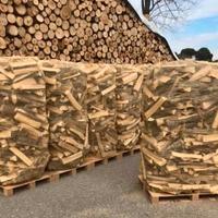 legna da ardere secca