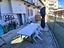 Immagine 27
