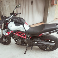Benelli 302