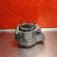 cilindro polini 160 rotax 123