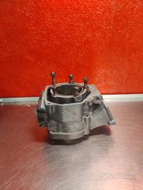 cilindro polini 160 rotax 123