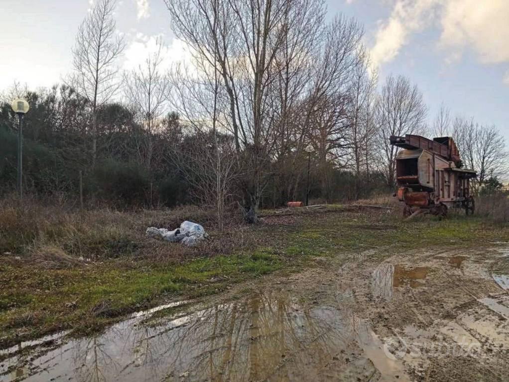 Immobile in asta di 3190 m² a Ficulle - Vista 3