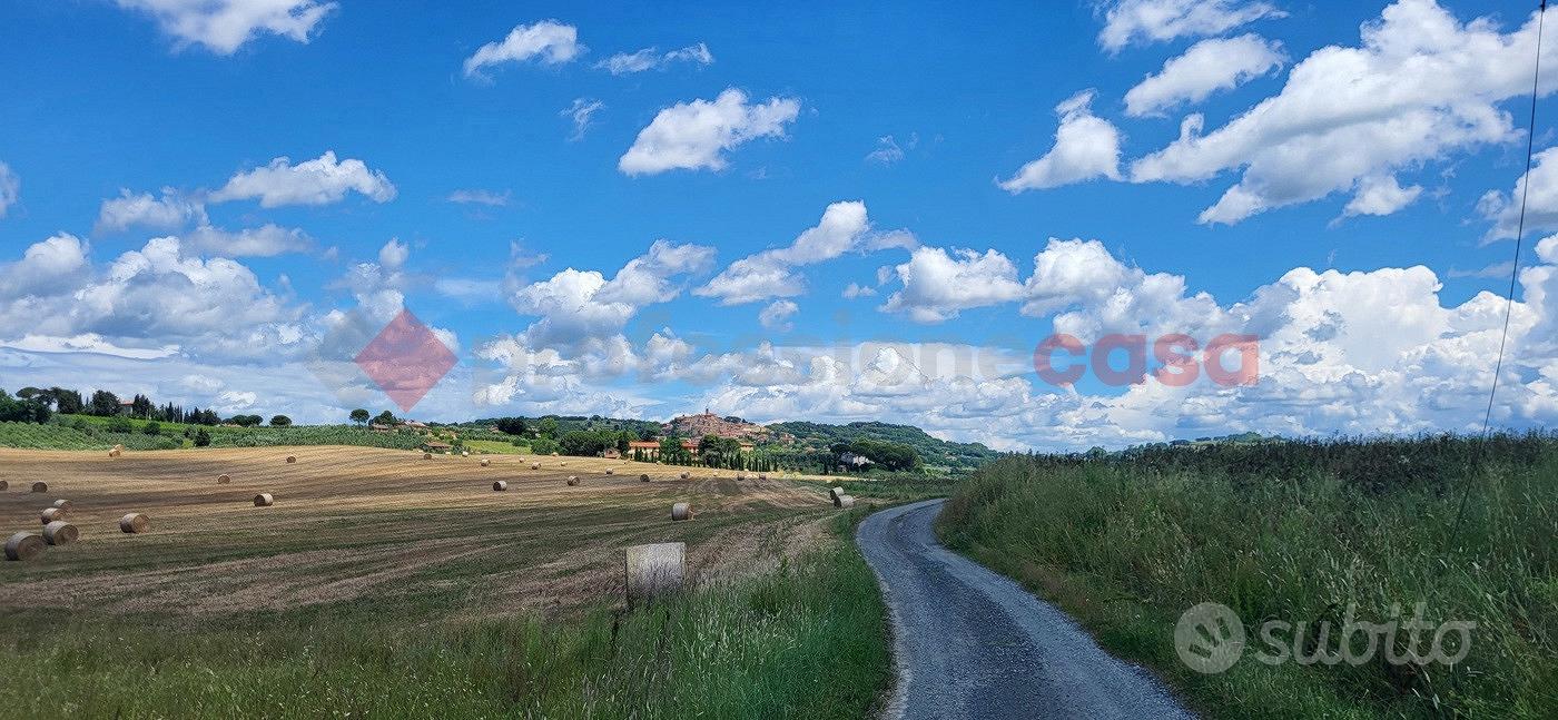 Terreno Agricolo Bibbona [TA-06VCG] - Vista 5