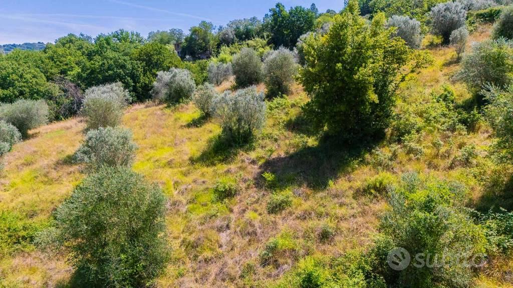 Terreno di 17299 m² a Mompeo - Vista 3