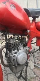 Motom Altro modello - 1962