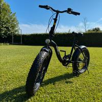 Bicicletta pieghevole