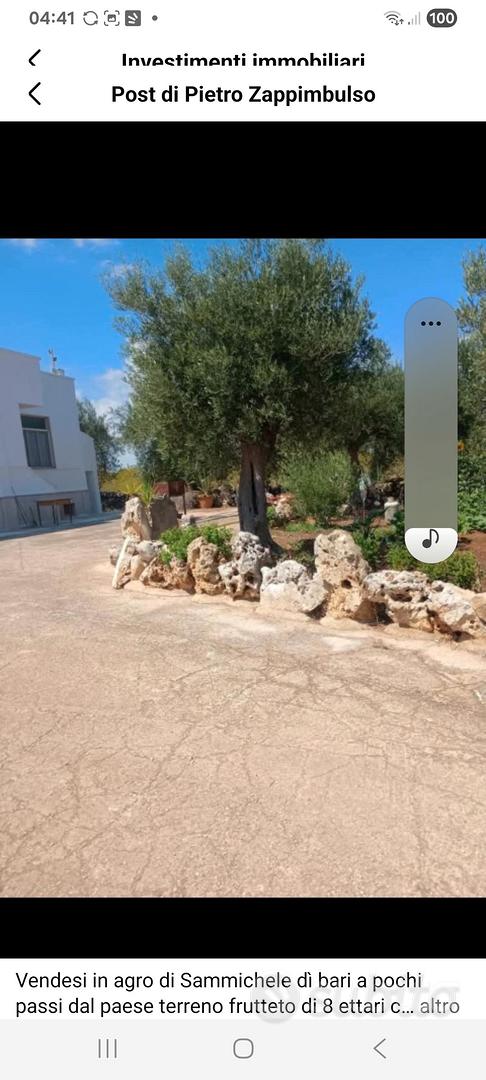 Terreni casa e depositi - Vista 3