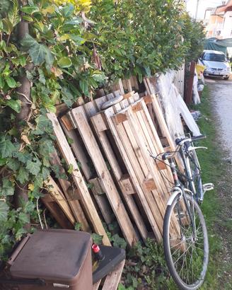 pallet