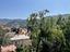 Immagine 17