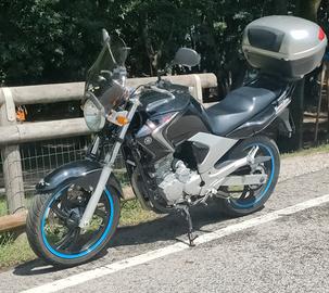 Yamaha YBR 250 2007 Moto e Scooter In vendita a Trento