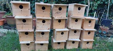 Nidi per inseparabili