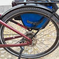 City bike Specialized 