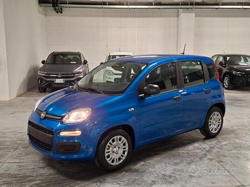 Fiat Panda 1.0 FireFly Hybrid Pandina Icon Km.0